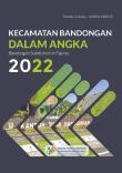 Kecamatan Bandongan Dalam Angka 2022