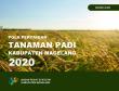 Pola Pertanian Tanaman Padi Kabupaten Magelang 2020