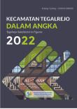 Kecamatan Tegalrejo Dalam Angka 2022