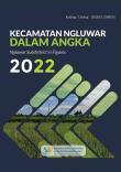 Kecamatan Ngluwar Dalam Angka 2022