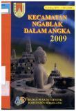 Kecamatan Ngablak Dalam Angka 2009