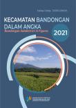 Bandongan Subdistrict In Figures 2021