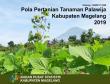 Pola Pertanian Tanaman Palawija Kabupaten Magelang 2019