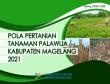 Pola Pertanian Tanaman Palawija Kabupaten Magelang 2021